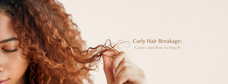 Curly Hair Breakage: Causes and How to Stop It - Zaphira Nature