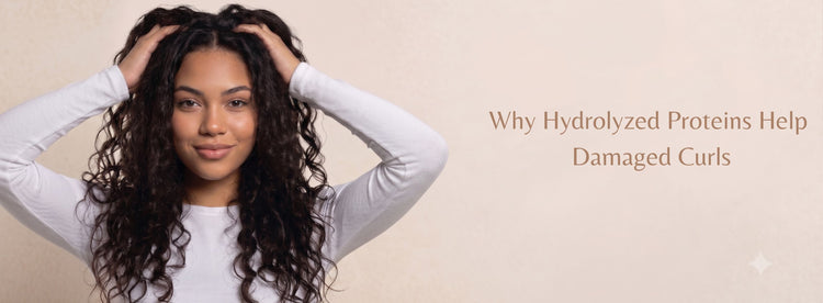 Why Hydrolyzed Proteins Help Damaged Curls? - Zaphira Nature