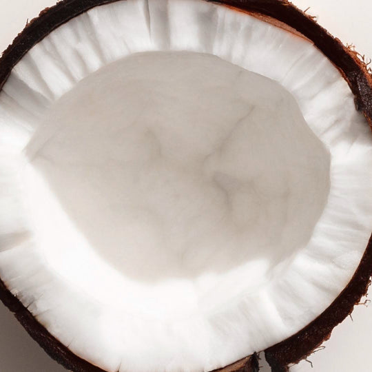 Coconut