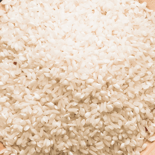 Rice Protein